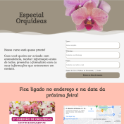 Landing Page Especial Orquídeas