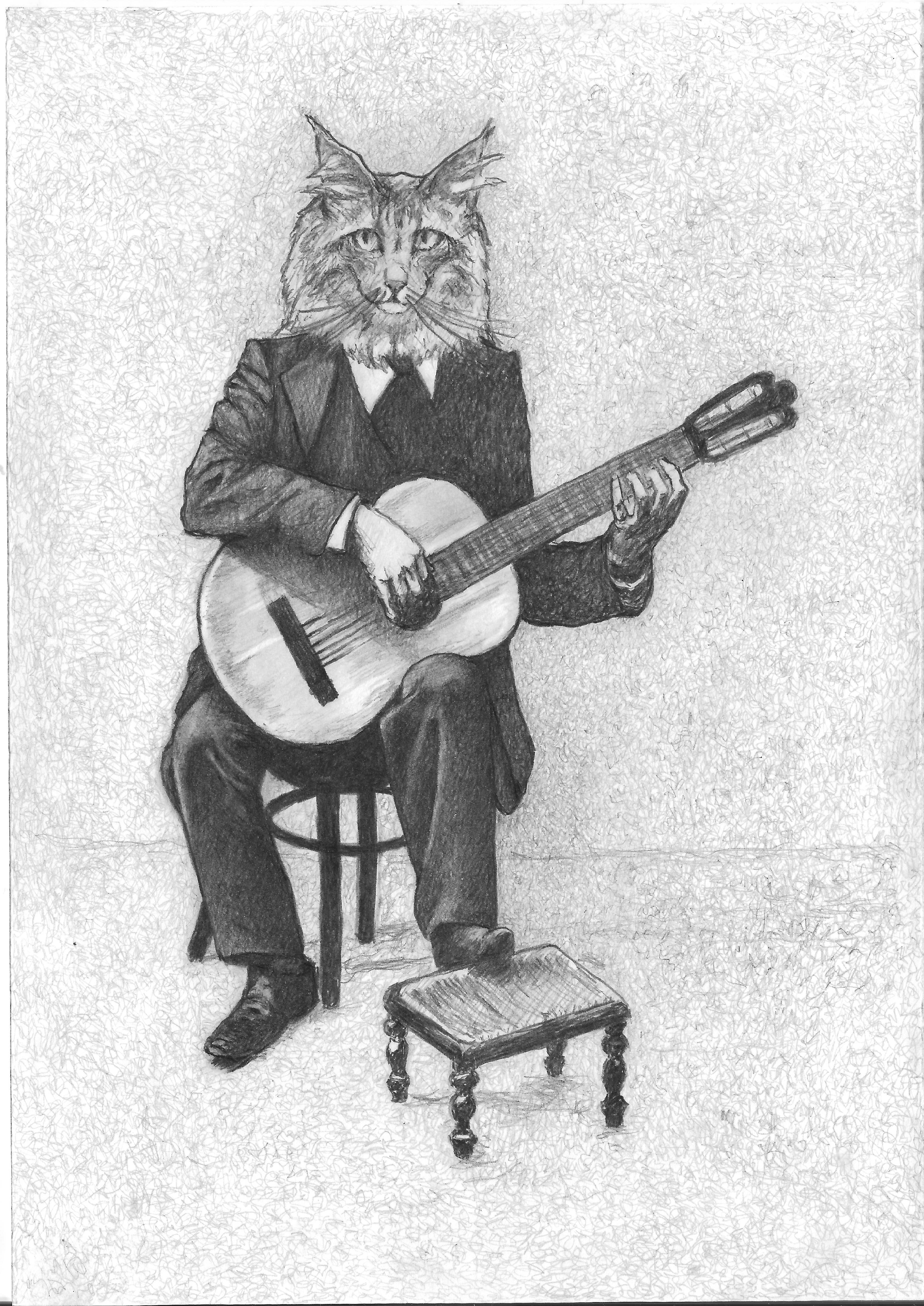 Gato tocando violão