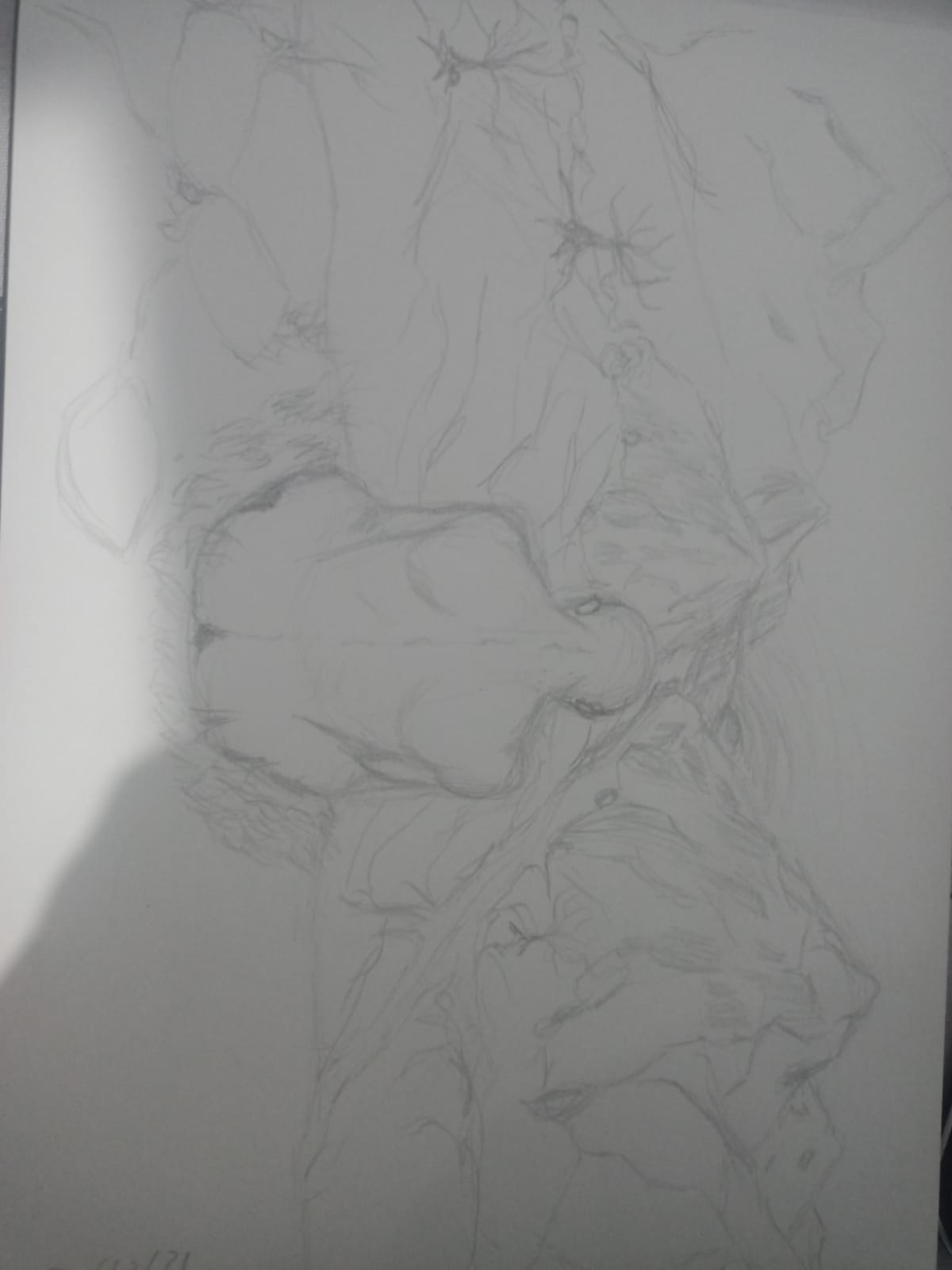 meus desenhos mais recentes