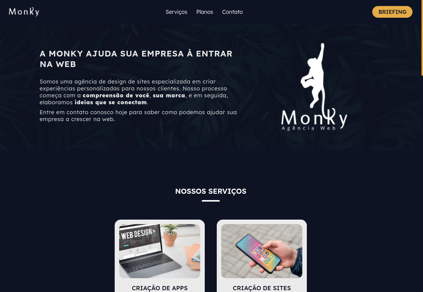 Website da Agência Monky