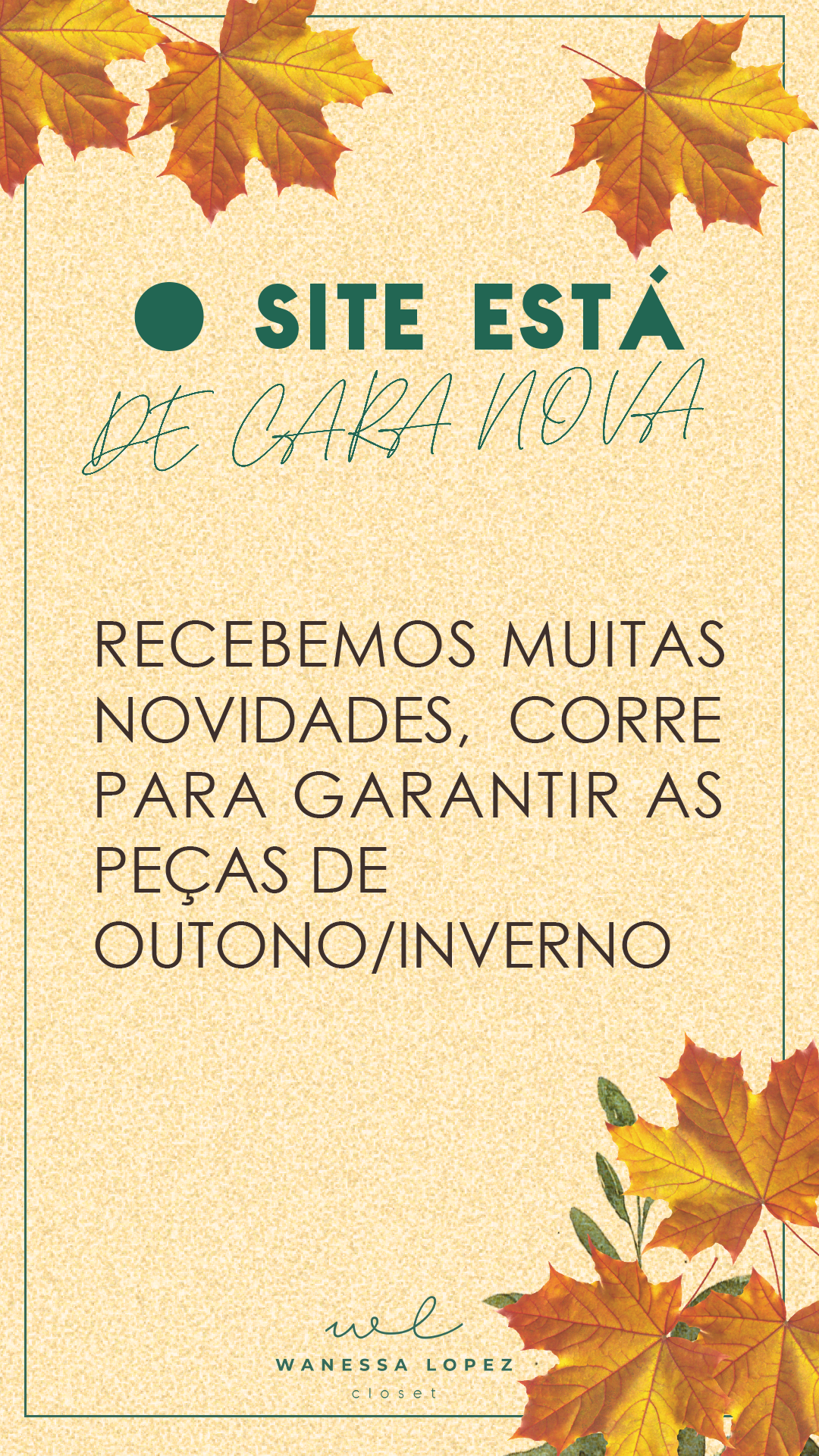 Imagem para storys