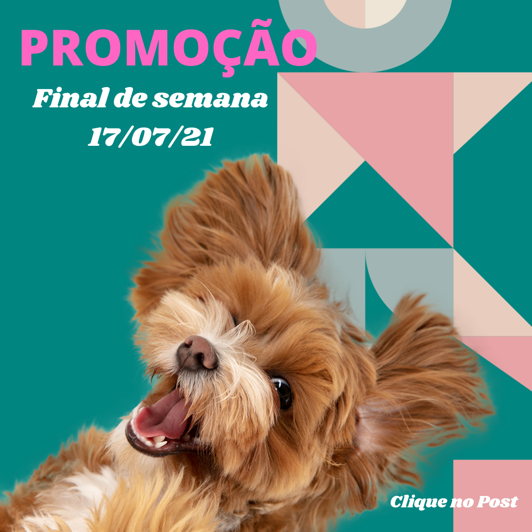 Postagem de Instagram e Facebook para cliente nicho Petshop