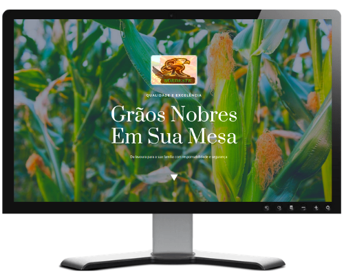 Site da SR Nordeste Comércio e Transporte de Milho