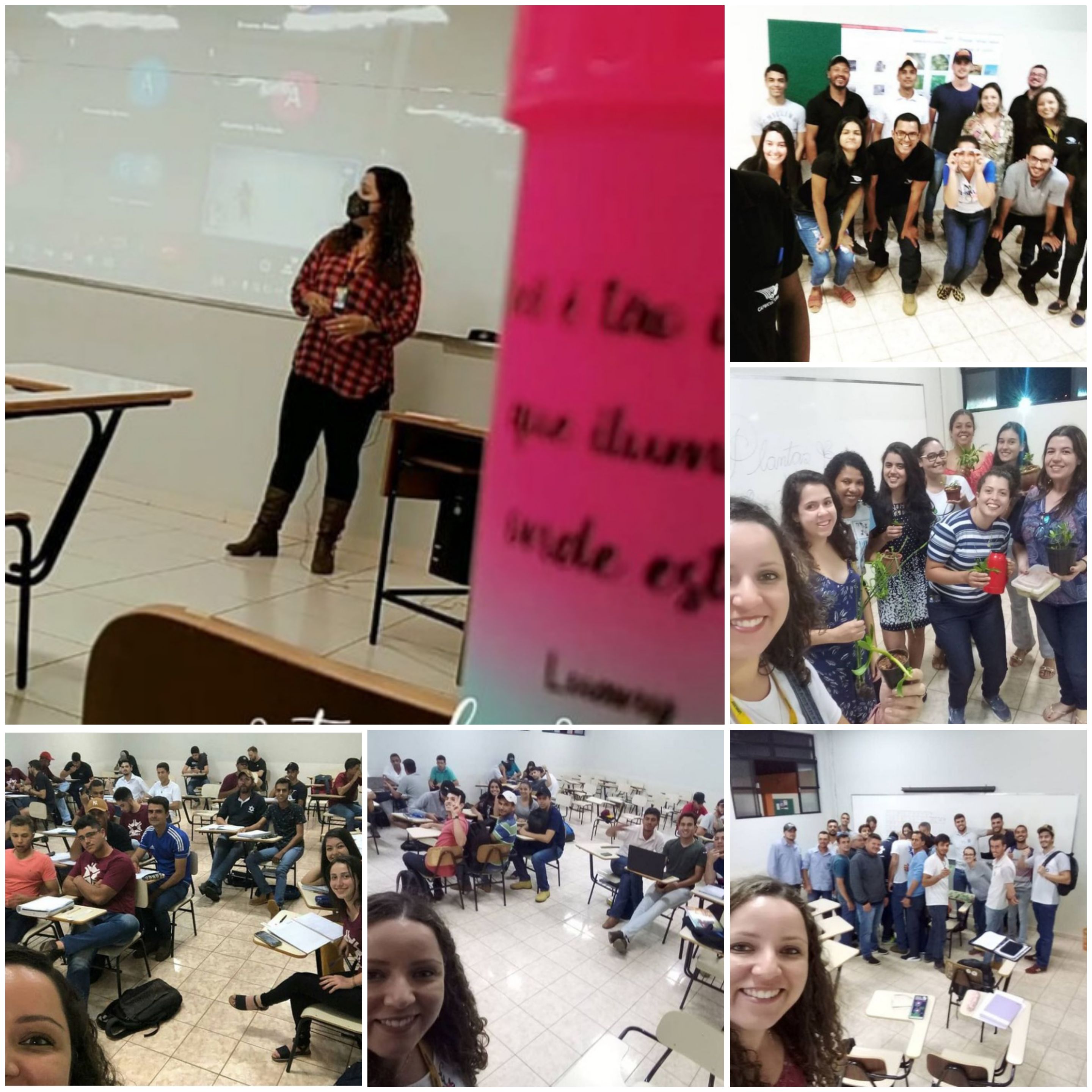 Resumo do meu trabalho como docente