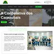Site + Campo cadastral dos cooperadores