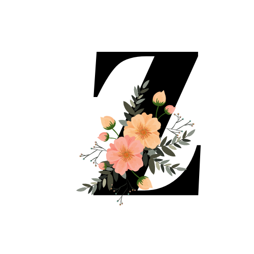 Criação Logo Para ecommerce