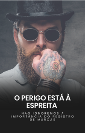 E-Book - Registro de Marcas e Patentes