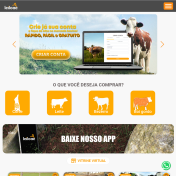 UI/UX Desktop e Mobile - Leiloaê