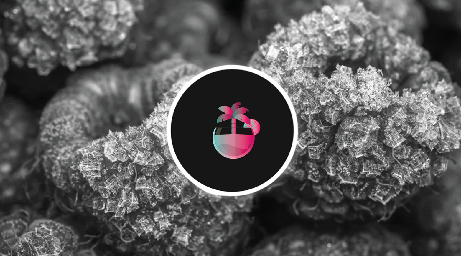 Club Island - Freelancer | Marca