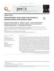 Characterization of the oxide scale formed on external surface of HP reformer tubes