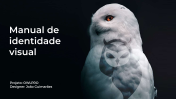 Identidade Visual OWLPRO - Manual da marca.