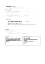 CURRICULO