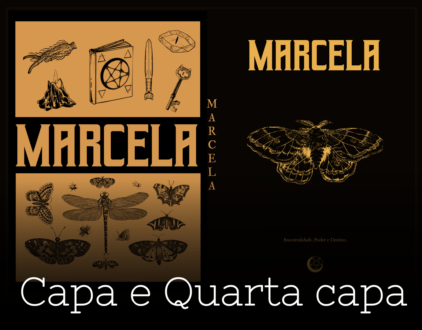 Capa de Livro