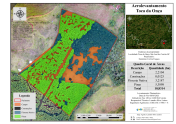 Mapa de Uso do Solo com Imagem de Drone