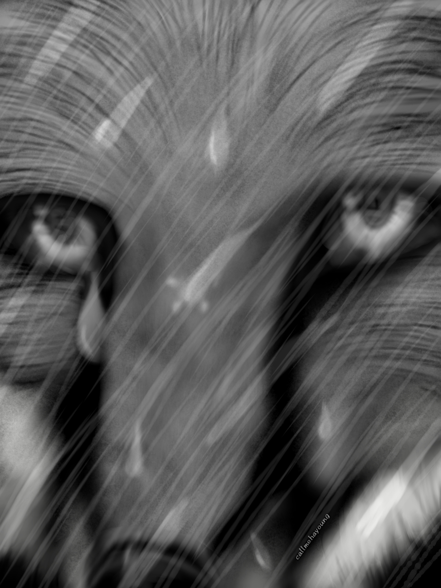 Sad Fox - Greyscale Ilustration
