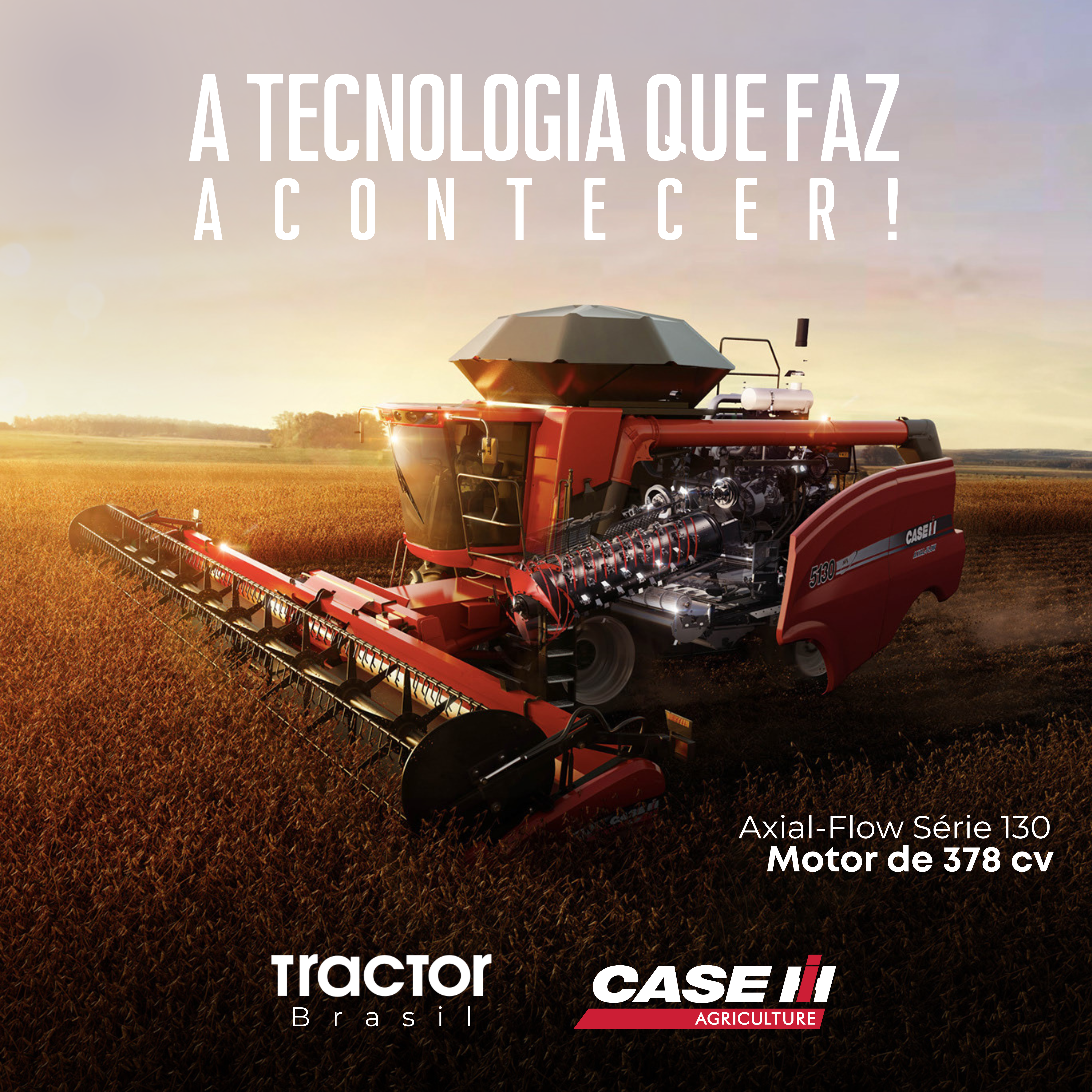Agro posts