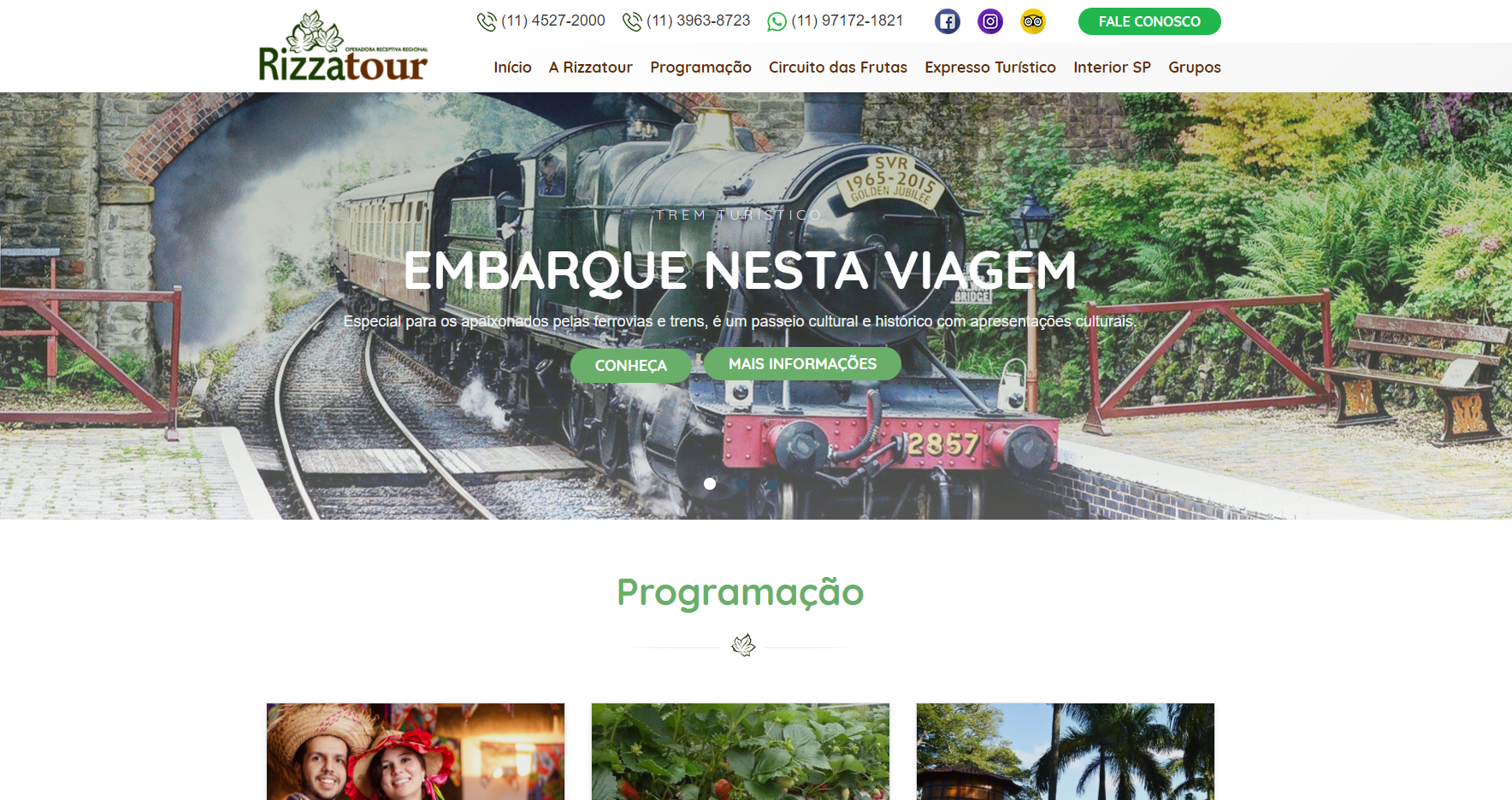Site responsivo + Painel administrativo