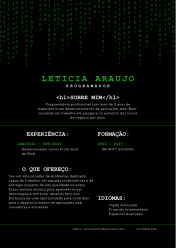 Portifolio Curriculo