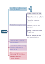 Mapas coloridos para ensinar