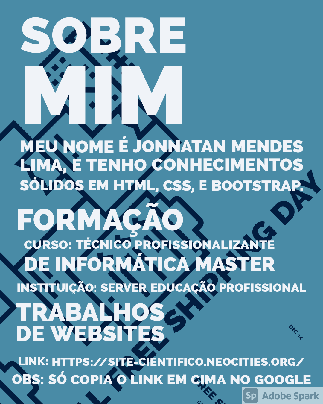 Portfólio profissional