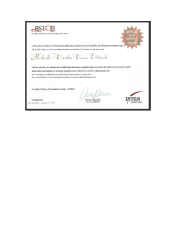 Certificação de Testes ISTQB