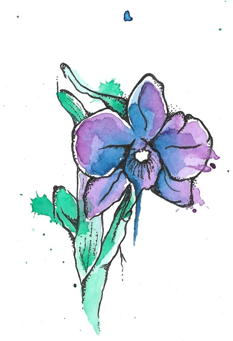 Orquídea