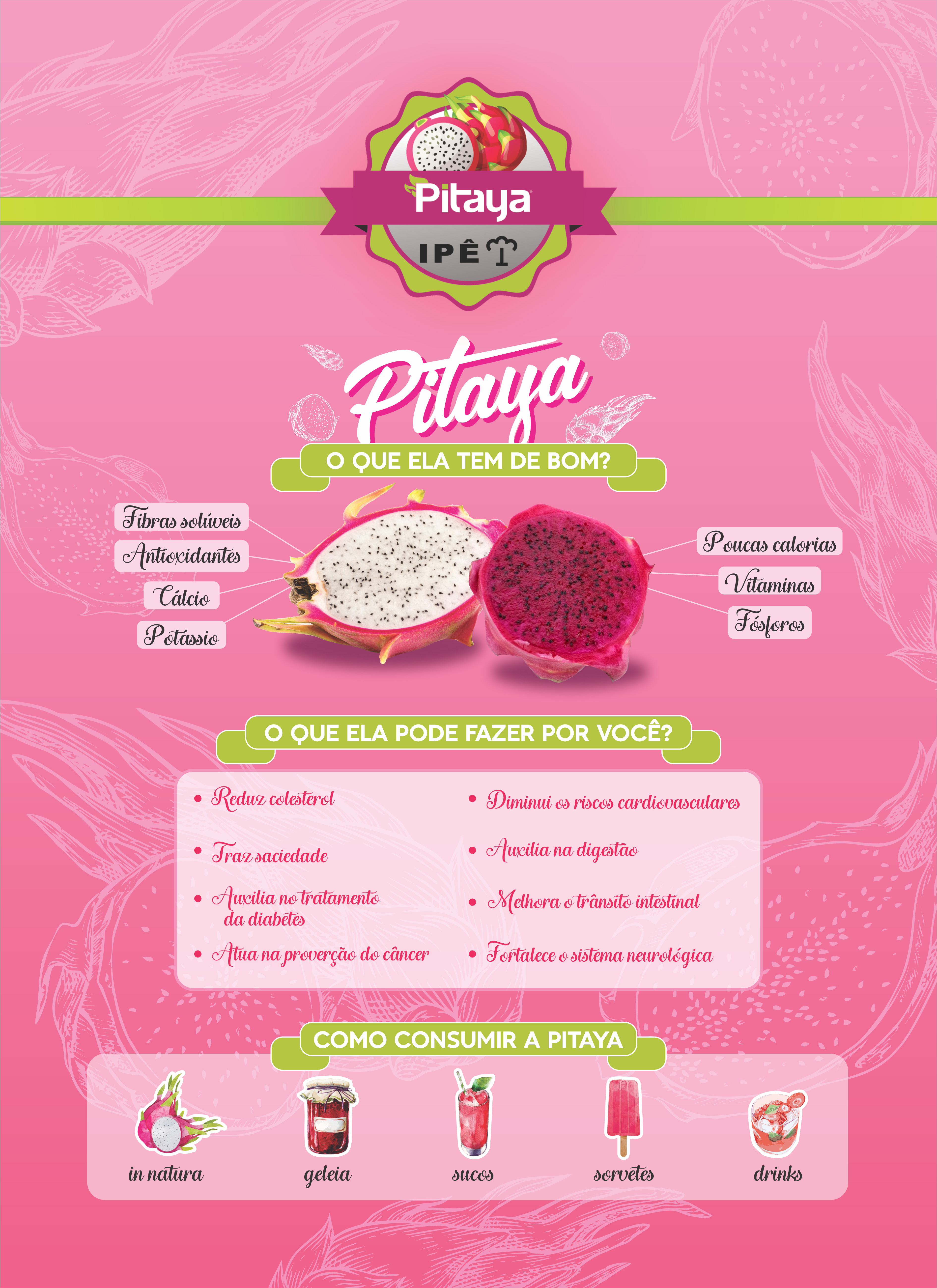 Pitaya Ipê - panfleto