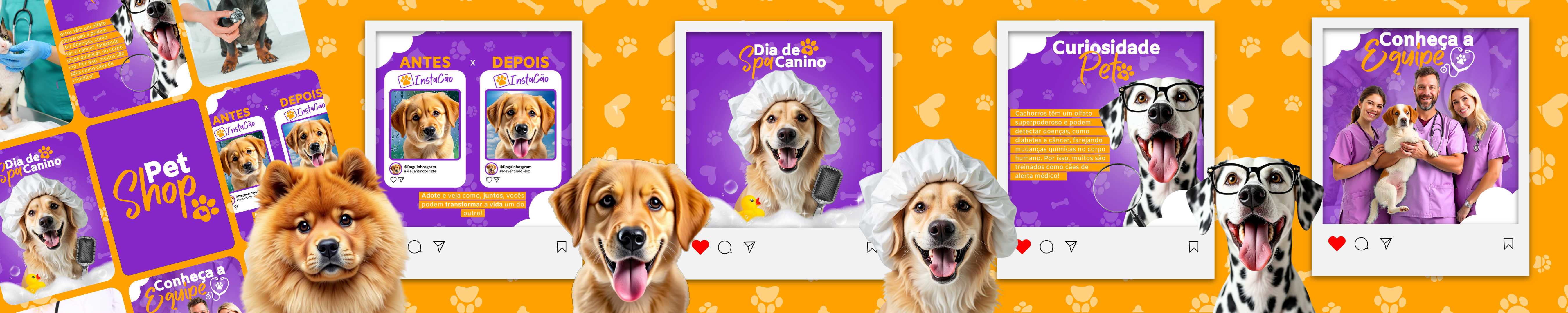 Feed Instagram Pet Shop