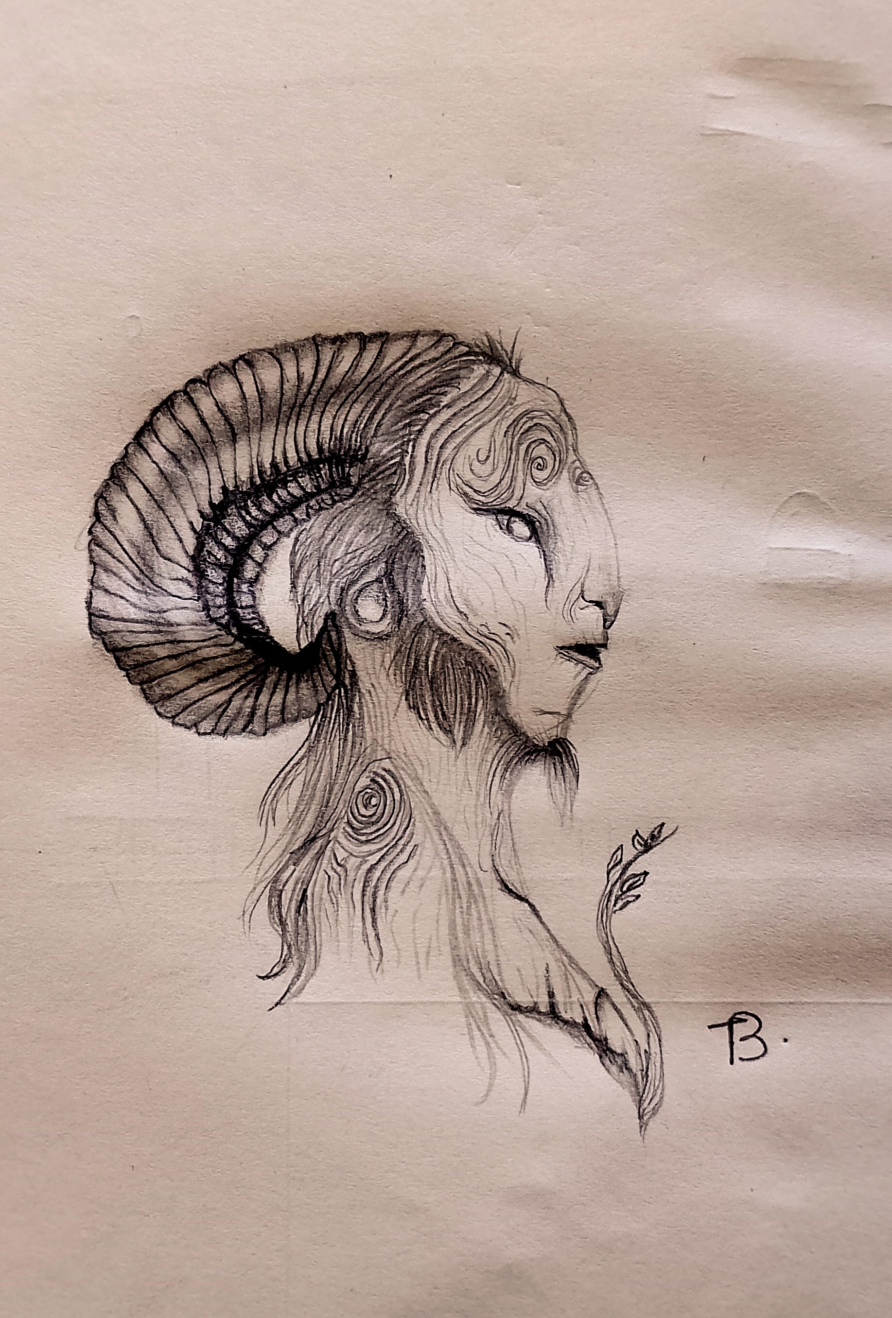 Desenho