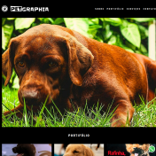 Petgraphia