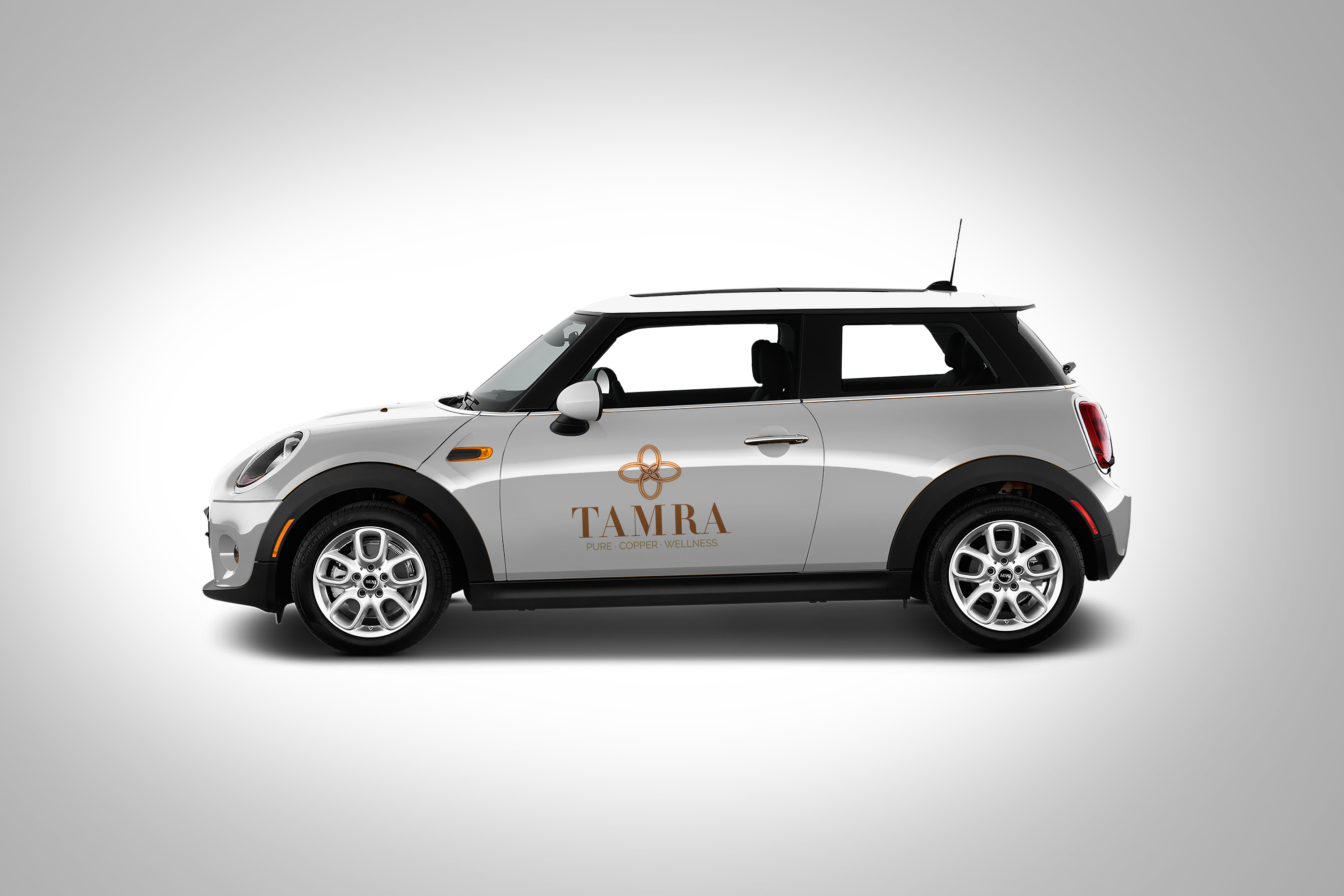 Projeto conceitual de plotagem de veículo – Mini Cooper