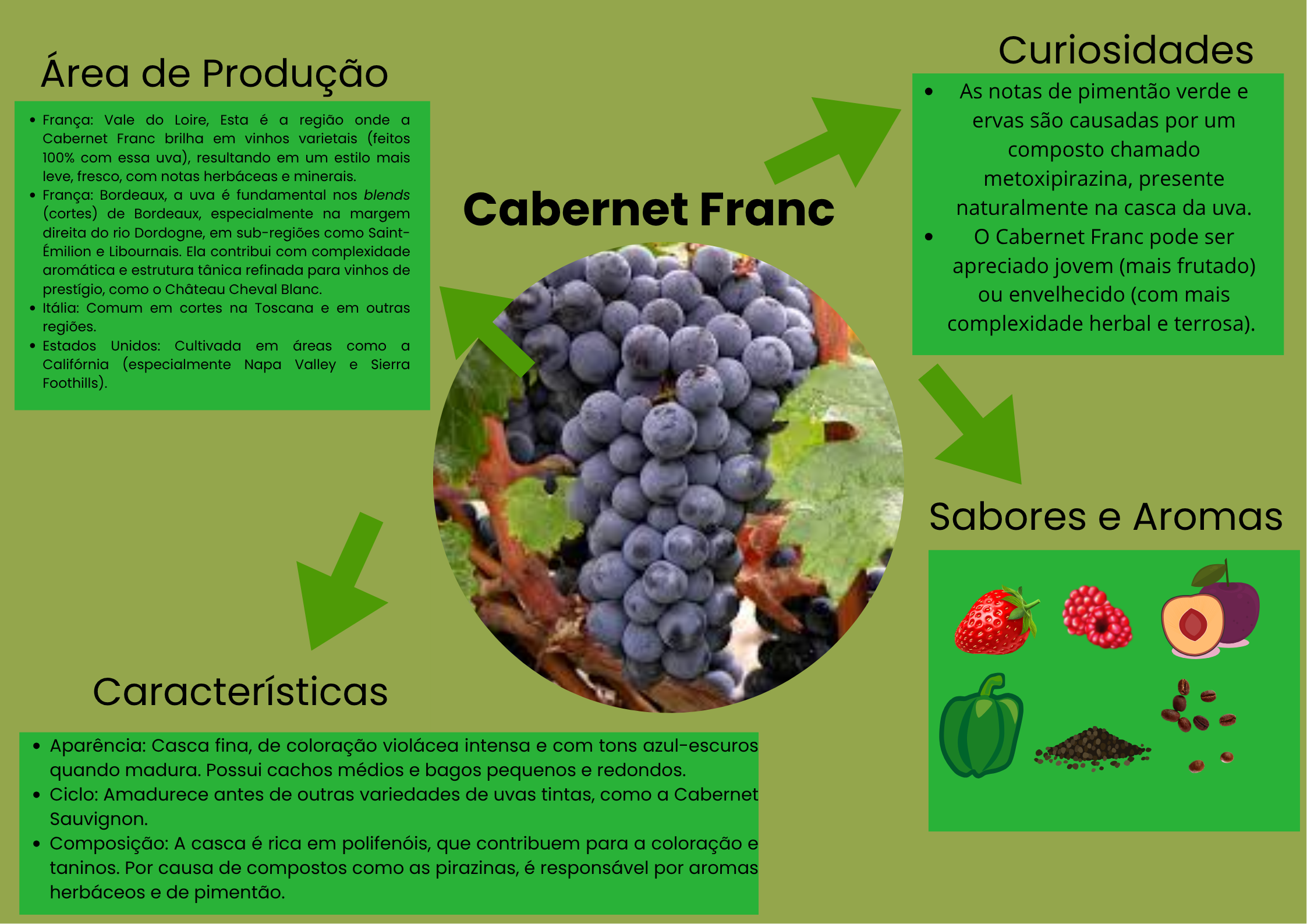 Infográfico sobre tipo de uva