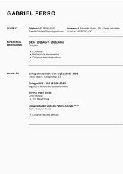 Experiência profissional/ formação Acadêmica