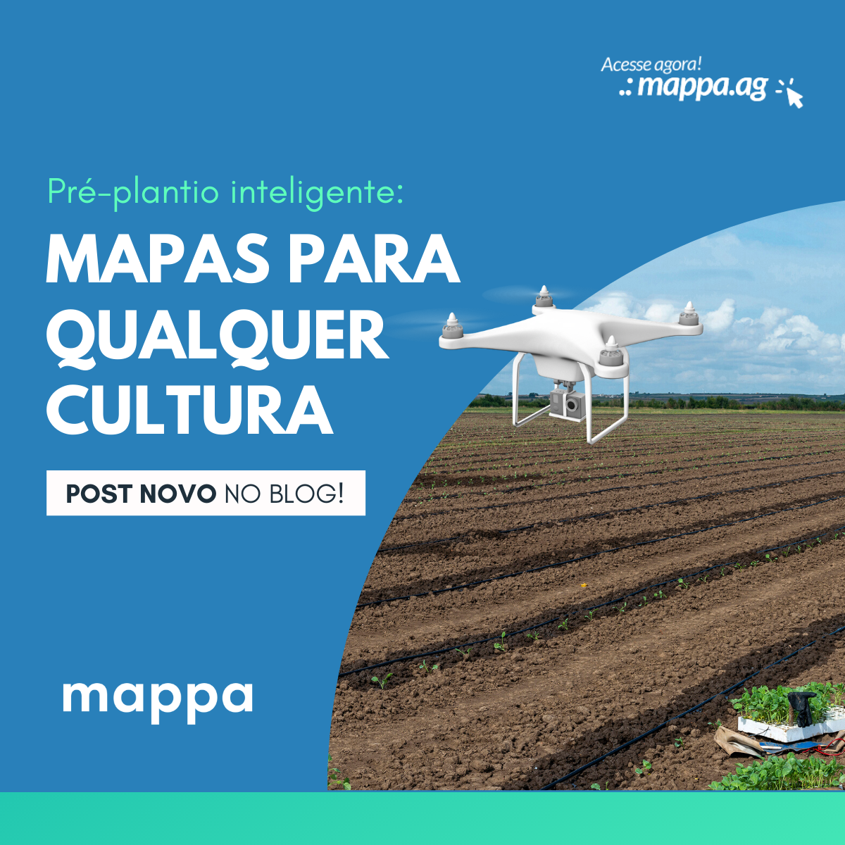 Post Feed | Mappa