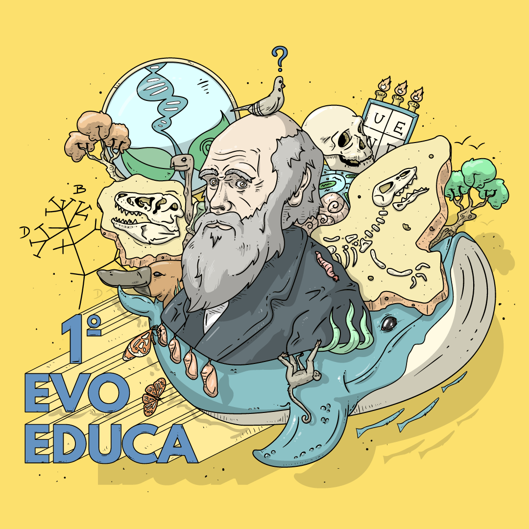 Ilustração + Design