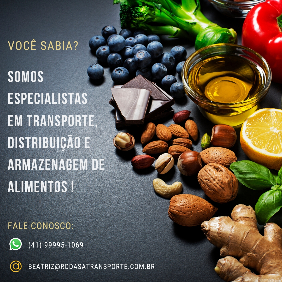 Feed Instagram / Facebook