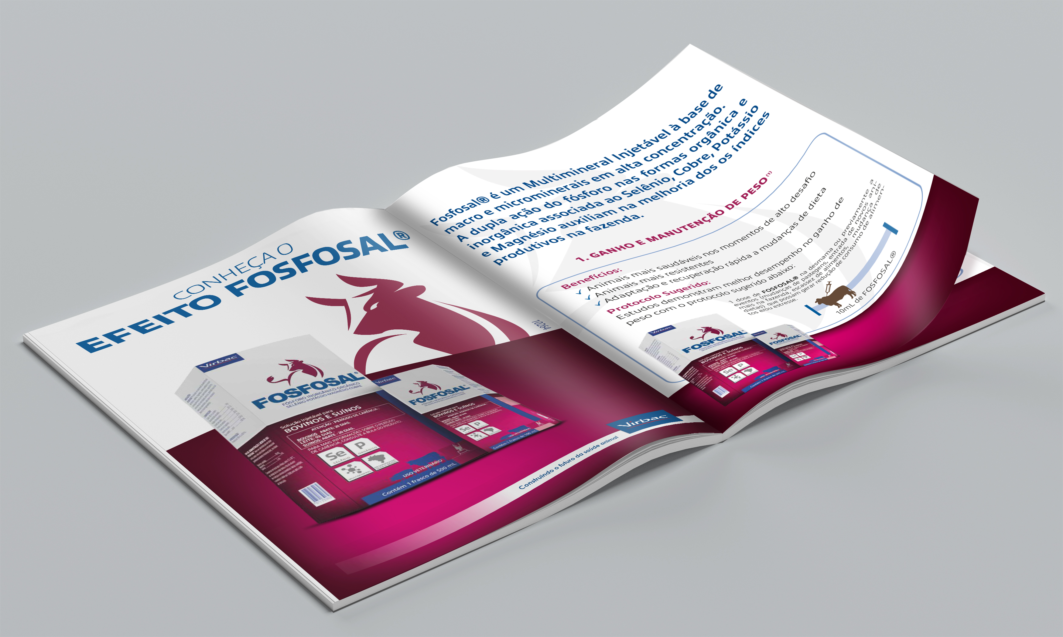 Anúncio revista - FOSFOSAL 