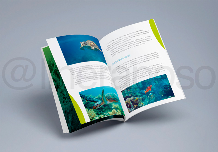 DIAGRAMAÇÃO DE LIVROS, REVISTAS